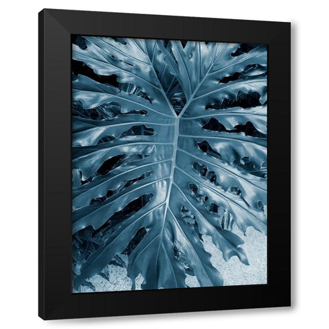 Garden 2 Black Modern Wood Framed Art Print with Double Matting by Phillip, Jamie