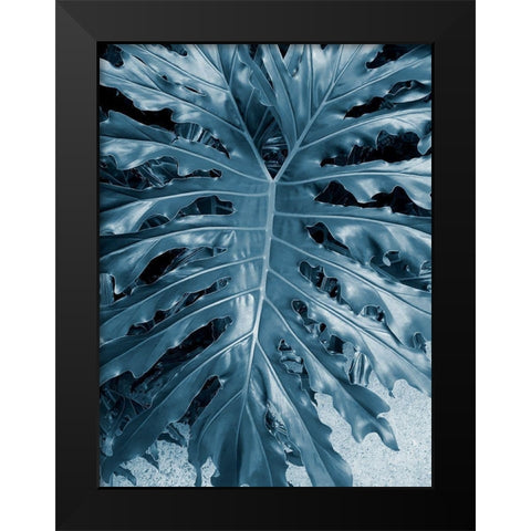 Garden 2 Black Modern Wood Framed Art Print by Phillip, Jamie
