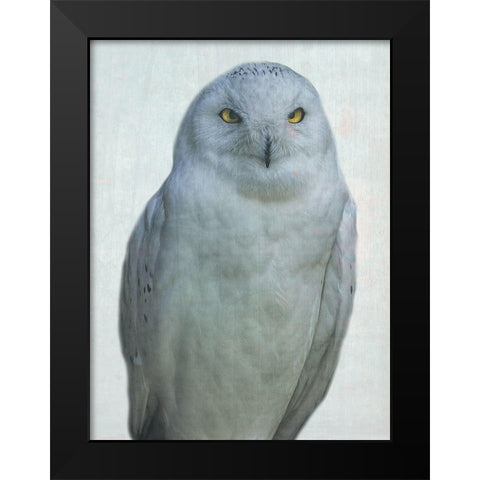 Owlways Black Modern Wood Framed Art Print by Phillip, Jamie