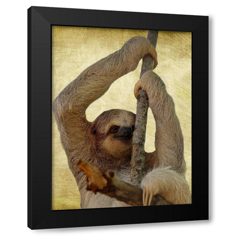 Hang On Black Modern Wood Framed Art Print by Phillip, Jamie