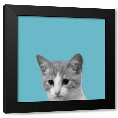 Good Cat Black Modern Wood Framed Art Print by Phillip, Jamie