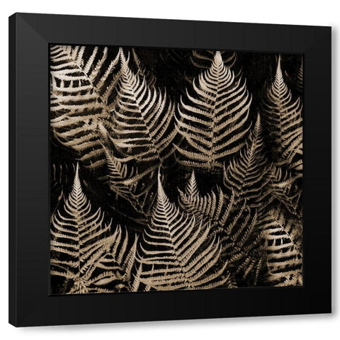 Natural Midnight Black Modern Wood Framed Art Print by Phillip, Jamie