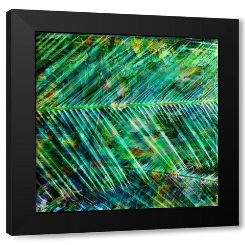 Tropical Palm Black Modern Wood Framed Art Print with Double Matting by Phillip, Jamie