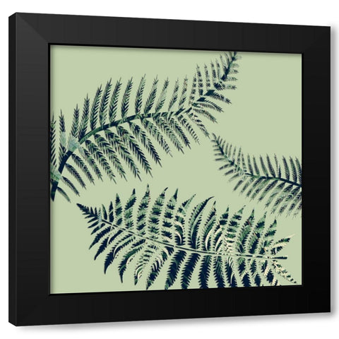 Paradise 1 Black Modern Wood Framed Art Print with Double Matting by Phillip, Jamie