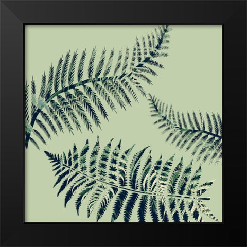 Paradise 1 Black Modern Wood Framed Art Print by Phillip, Jamie