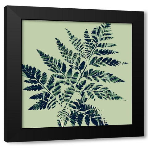 Paradise 2 Black Modern Wood Framed Art Print with Double Matting by Phillip, Jamie