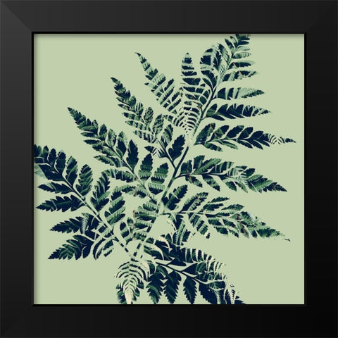 Paradise 2 Black Modern Wood Framed Art Print by Phillip, Jamie