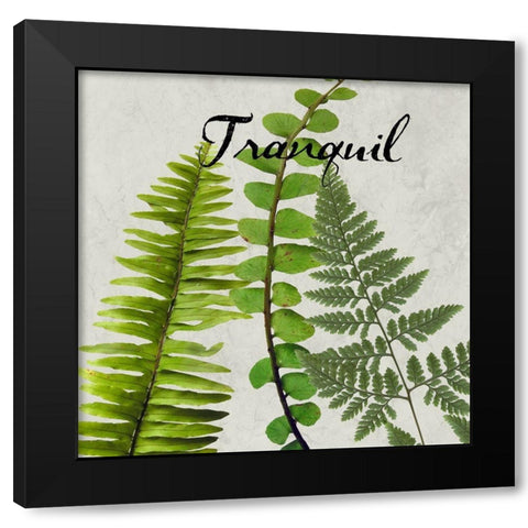 Tranquil Black Modern Wood Framed Art Print with Double Matting by Phillip, Jamie
