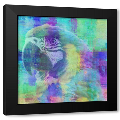 Flying Colors Black Modern Wood Framed Art Print with Double Matting by Phillip, Jamie
