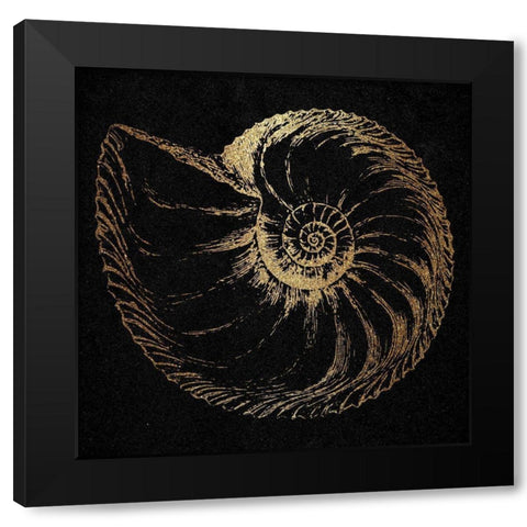 Gold Shell Black Modern Wood Framed Art Print by Phillip, Jamie