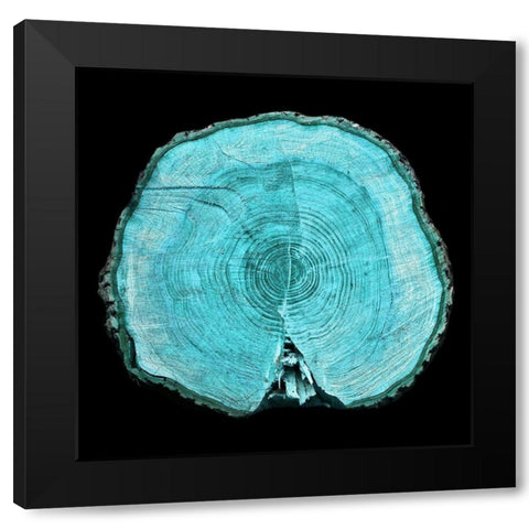 Lodge Log 1 Black Modern Wood Framed Art Print with Double Matting by Phillip, Jamie