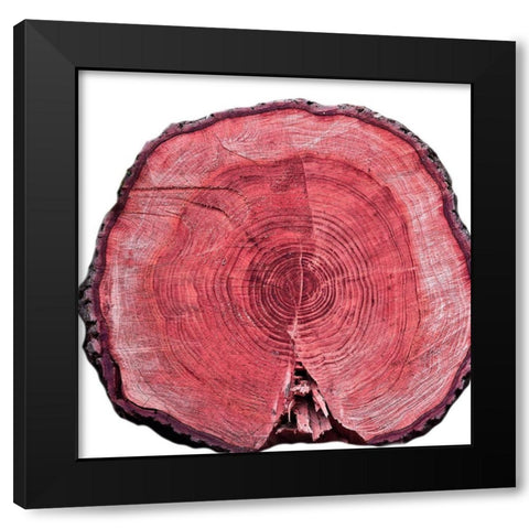 Lodge Log 2 Black Modern Wood Framed Art Print by Phillip, Jamie