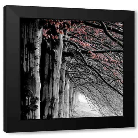BW and Color Black Modern Wood Framed Art Print by Phillip, Jamie