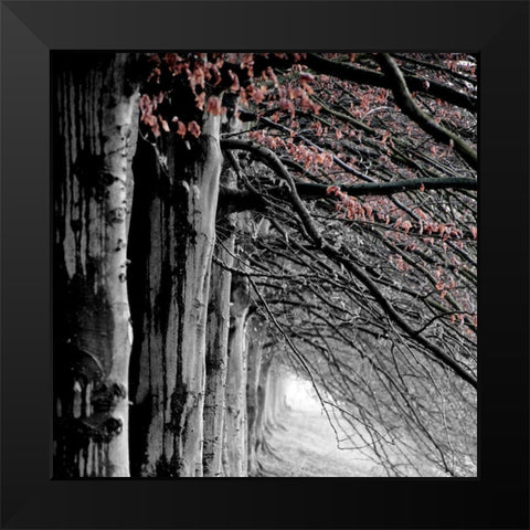 BW and Color Black Modern Wood Framed Art Print by Phillip, Jamie
