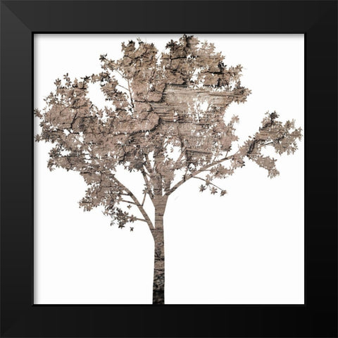 Wooded Black Modern Wood Framed Art Print by Phillip, Jamie