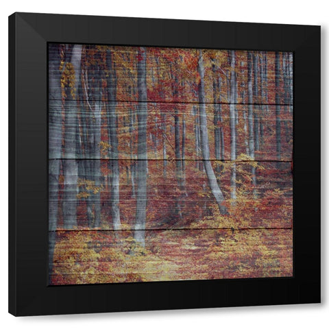 Landscape Black Modern Wood Framed Art Print by Phillip, Jamie