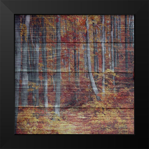 Landscape Black Modern Wood Framed Art Print by Phillip, Jamie