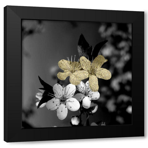Black and Gold Beauty 1 Black Modern Wood Framed Art Print with Double Matting by Phillip, Jamie