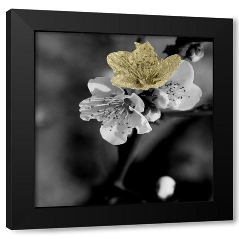 Black and Gold Beauty 2 Black Modern Wood Framed Art Print by Phillip, Jamie