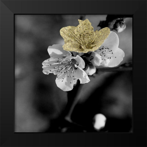 Black and Gold Beauty 2 Black Modern Wood Framed Art Print by Phillip, Jamie