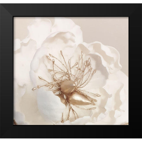 Bellarosa Black Modern Wood Framed Art Print by Phillip, Jamie