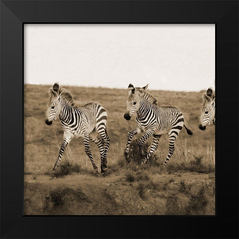 Young Runners Black Modern Wood Framed Art Print by Phillip, Jamie