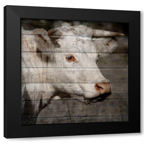 Bullkin 2 Black Modern Wood Framed Art Print with Double Matting by Phillip, Jamie