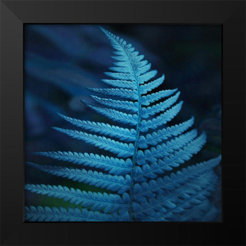 Caribbean Night Black Modern Wood Framed Art Print by Phillip, Jamie