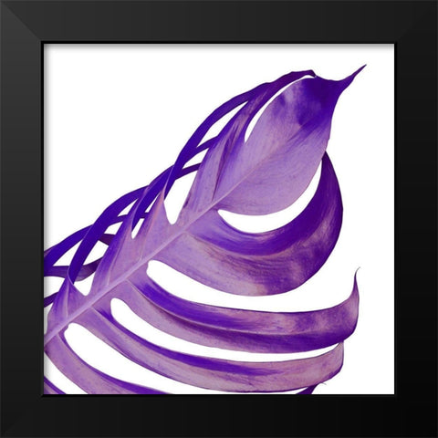 Pop Up 1 Black Modern Wood Framed Art Print by Phillip, Jamie