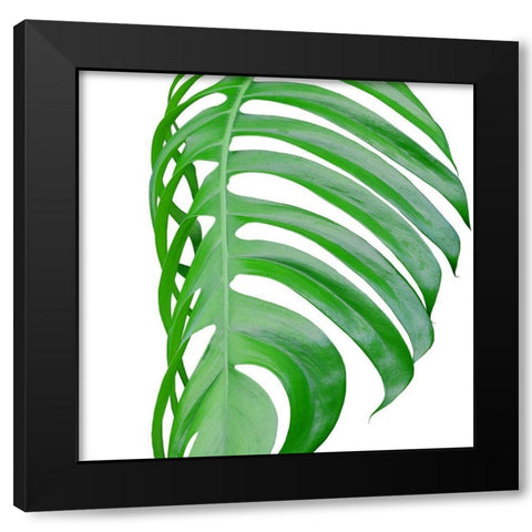 Pop up 3 Black Modern Wood Framed Art Print by Phillip, Jamie