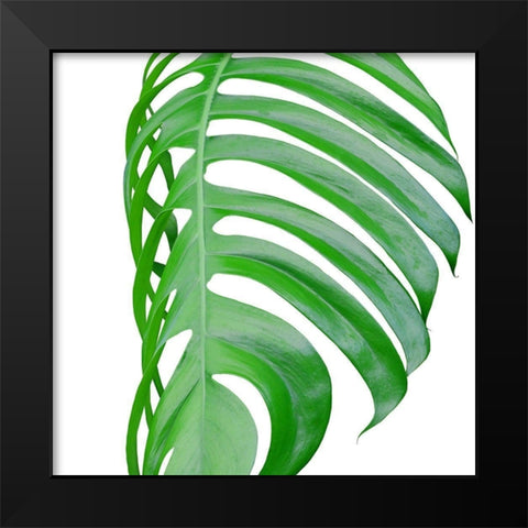 Pop up 3 Black Modern Wood Framed Art Print by Phillip, Jamie