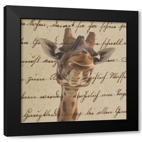 Geraffity Black Modern Wood Framed Art Print with Double Matting by Phillip, Jamie