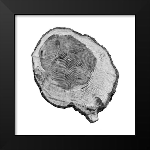 Old Rings Black Modern Wood Framed Art Print by Phillip, Jamie