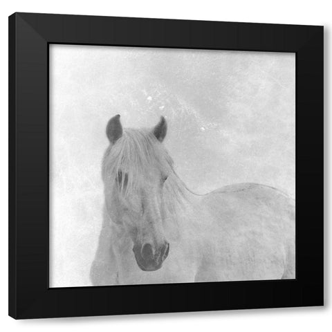 Wise Horse Black Modern Wood Framed Art Print with Double Matting by Phillip, Jamie