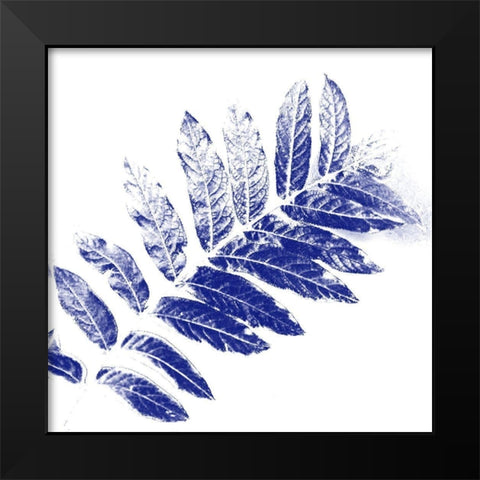 Sweeter Than Blue Black Modern Wood Framed Art Print by Phillip, Jamie