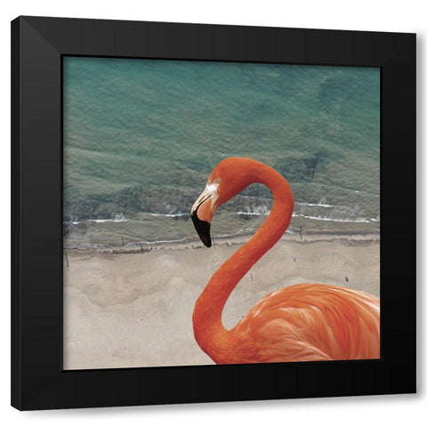 Flamingbay Black Modern Wood Framed Art Print with Double Matting by Phillip, Jamie