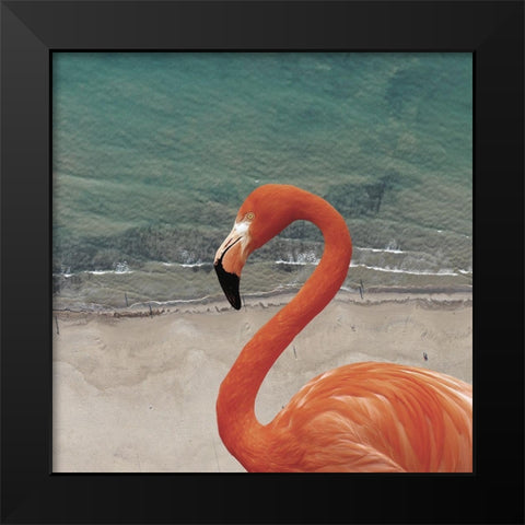 Flamingbay Black Modern Wood Framed Art Print by Phillip, Jamie