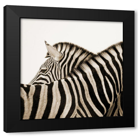 Savana Black Modern Wood Framed Art Print by Phillip, Jamie