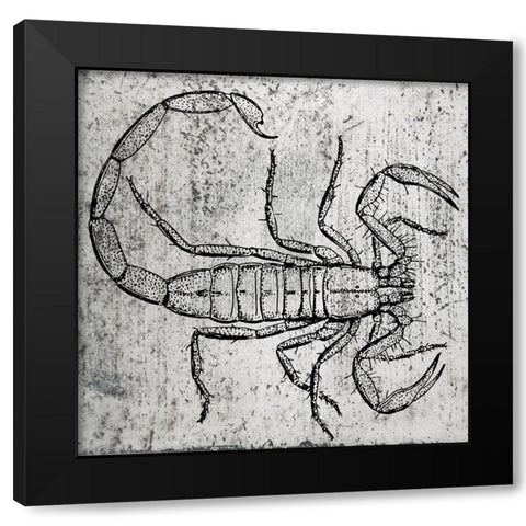Spring Bug 1 Black Modern Wood Framed Art Print by Phillip, Jamie