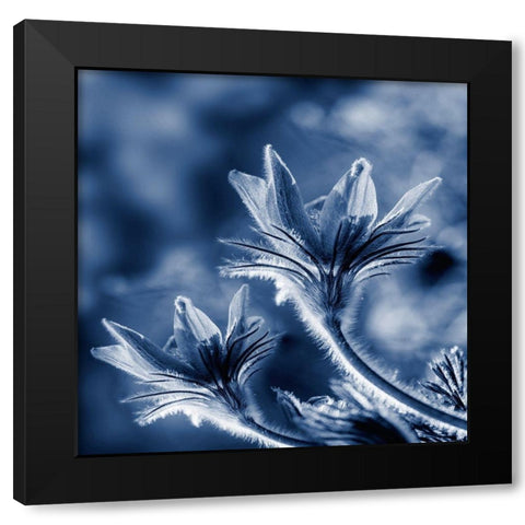 In Due Time Black Modern Wood Framed Art Print by Phillip, Jamie