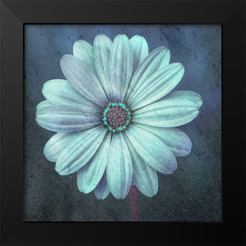 Petals Black Modern Wood Framed Art Print by Phillip, Jamie