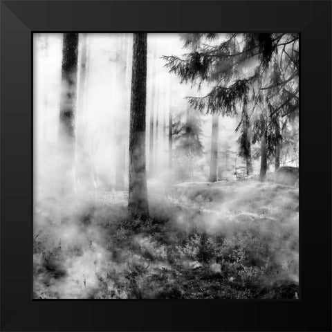 Black Forest Black Modern Wood Framed Art Print by Phillip, Jamie