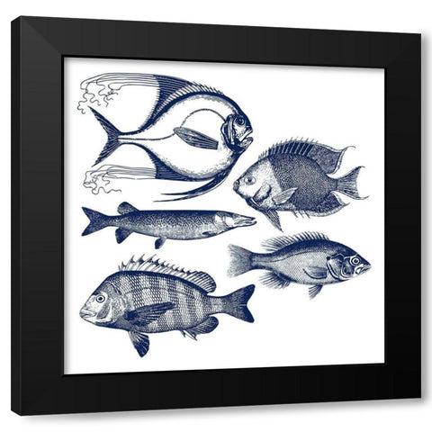 Fishes Black Modern Wood Framed Art Print with Double Matting by Phillip, Jamie