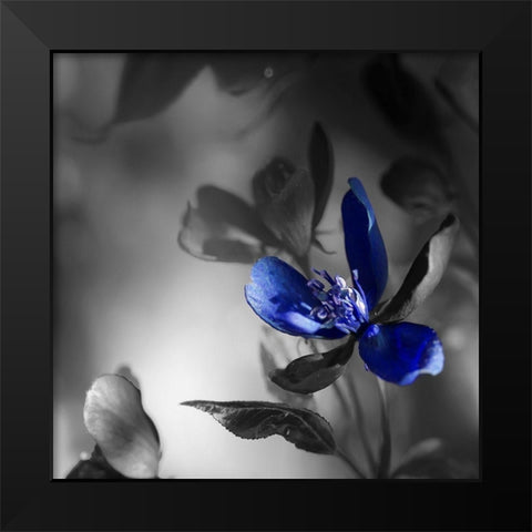 Blues Black Modern Wood Framed Art Print by Phillip, Jamie