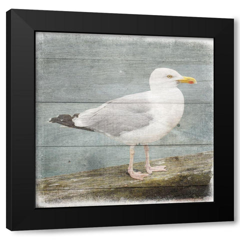 Marquis Bay 2 Black Modern Wood Framed Art Print by Phillip, Jamie