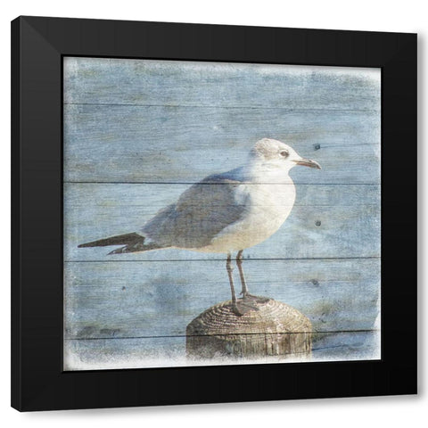 Marquis Bay 3 Black Modern Wood Framed Art Print with Double Matting by Phillip, Jamie