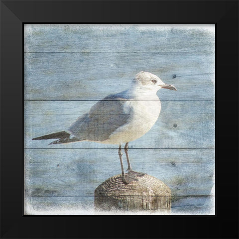 Marquis Bay 3 Black Modern Wood Framed Art Print by Phillip, Jamie