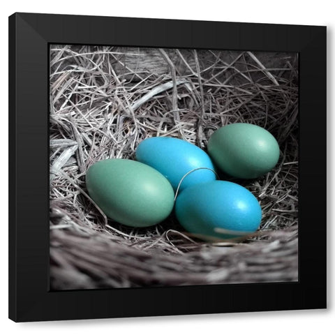 Blue Farm Black Modern Wood Framed Art Print by Phillip, Jamie