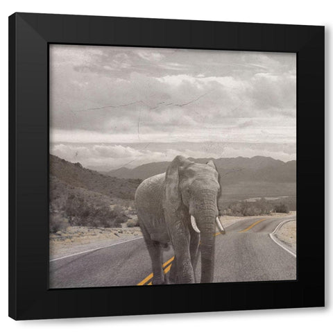 Safari Street 2 Black Modern Wood Framed Art Print by Phillip, Jamie