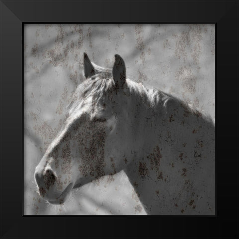 White Horse Black Modern Wood Framed Art Print by Phillip, Jamie